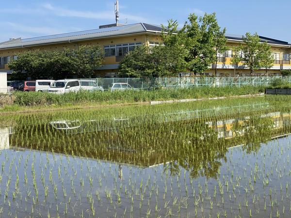 6月のある日