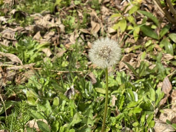 農園部春夏の部