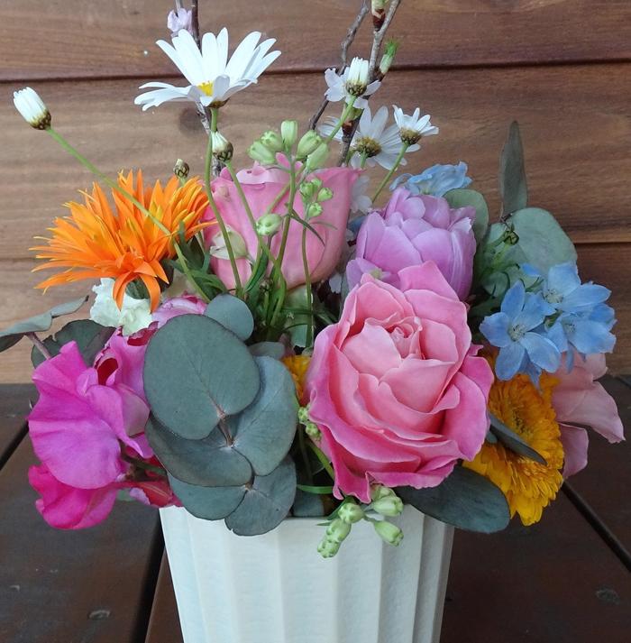 1月～３月の　苦情・意見