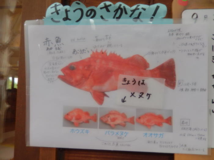 DSCN4566.JPG
