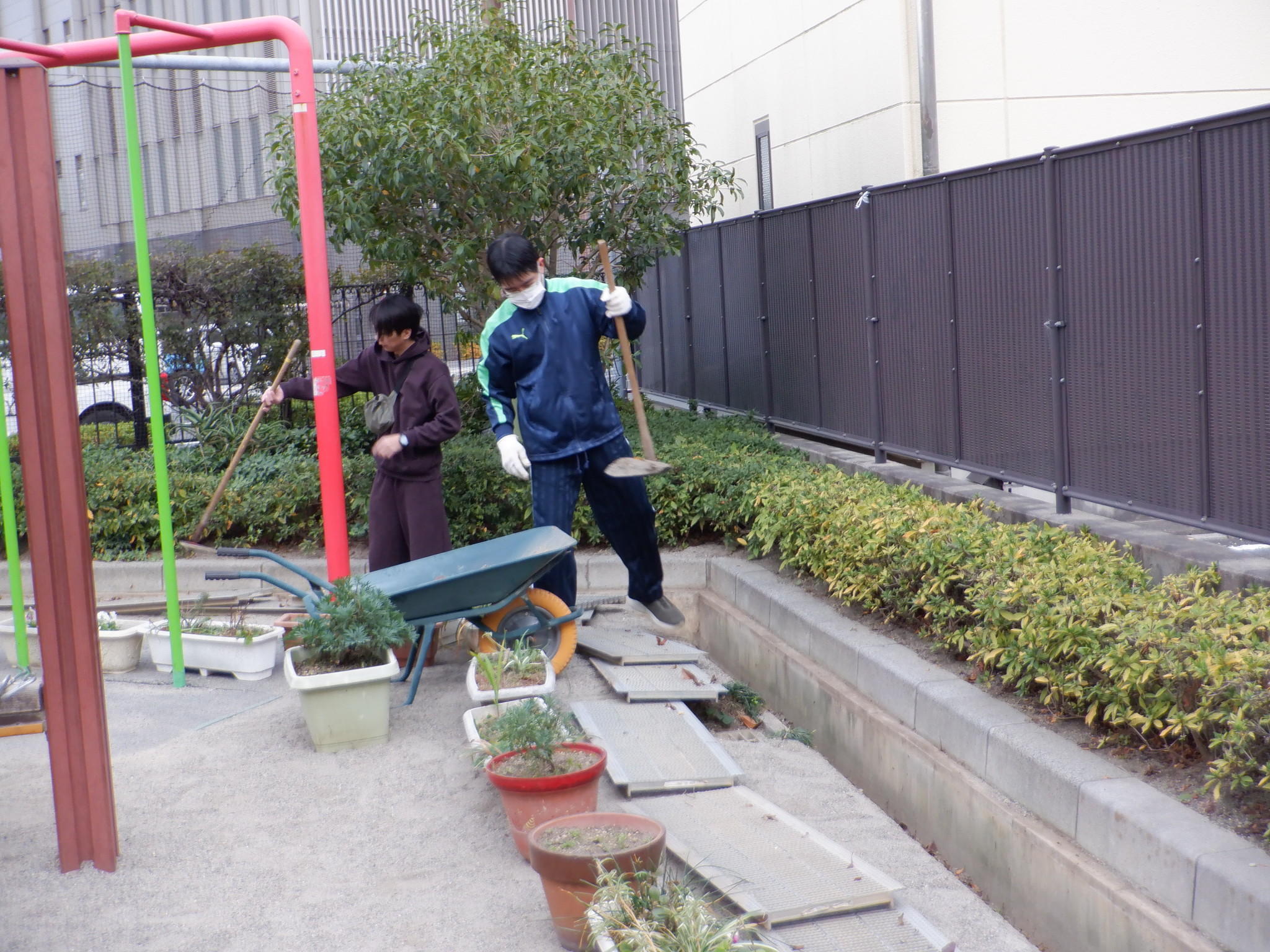 すもうの取り組みはじまります！！