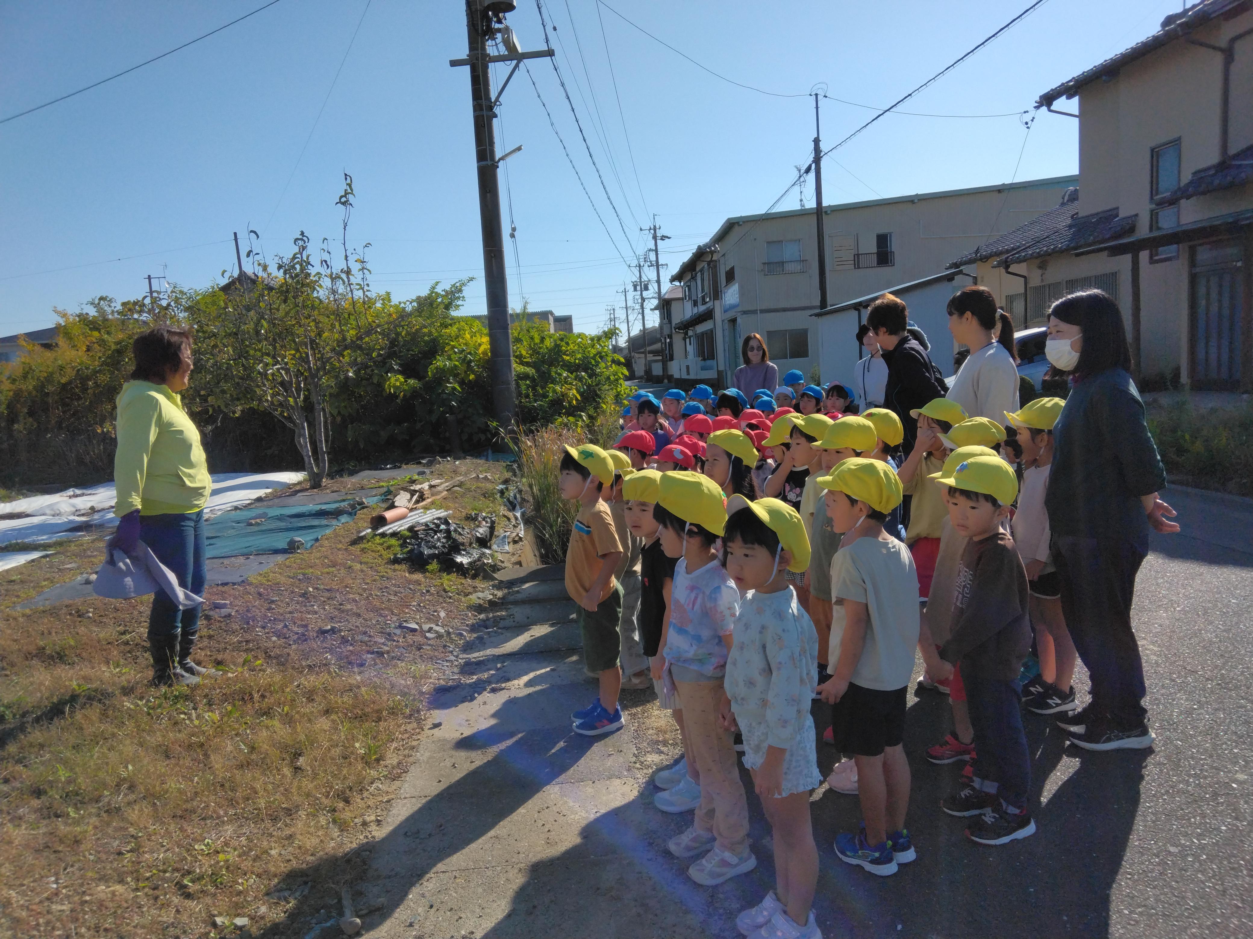 お芋ほりをしてきたよ