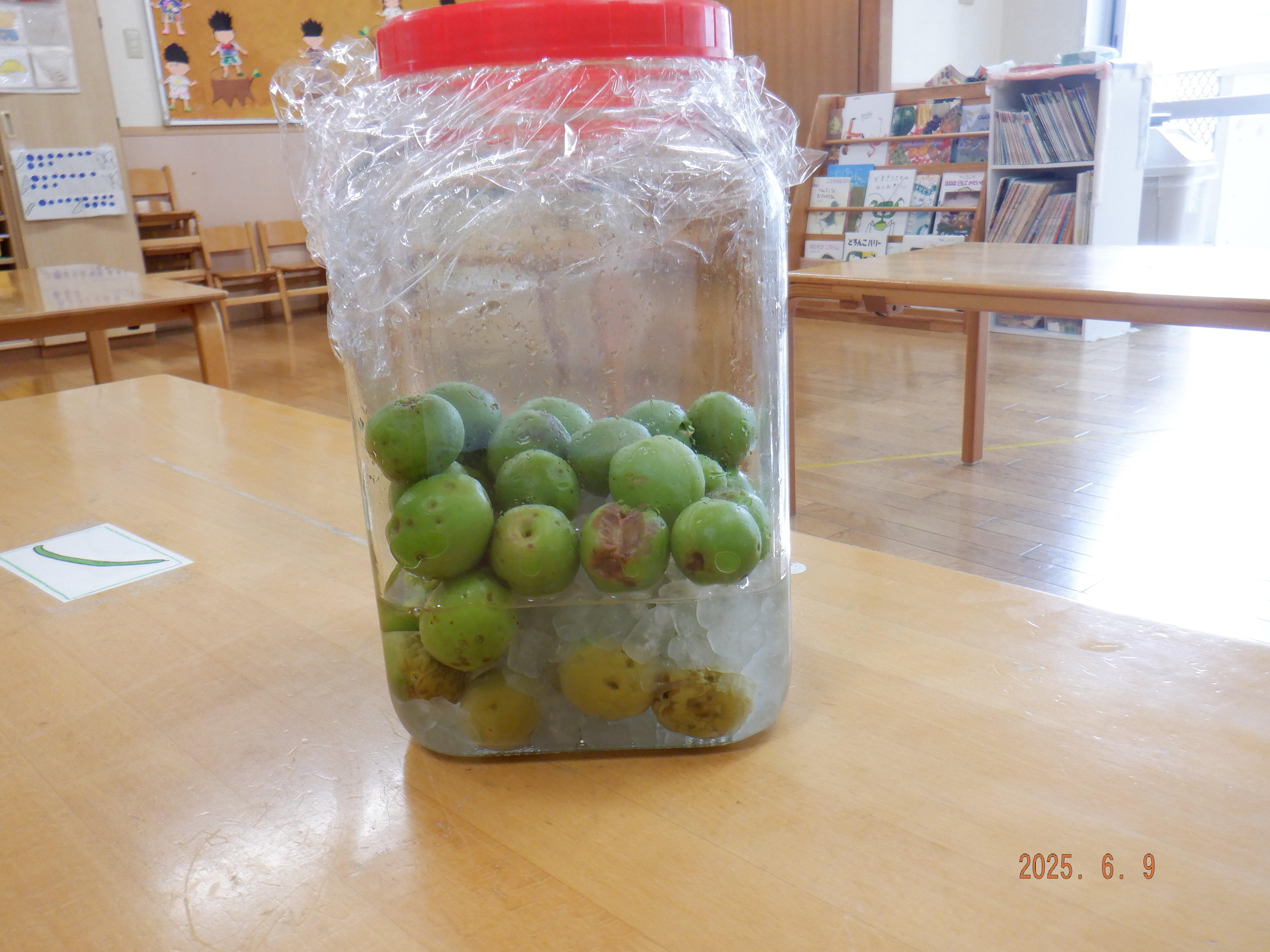 DSCF3849.JPG