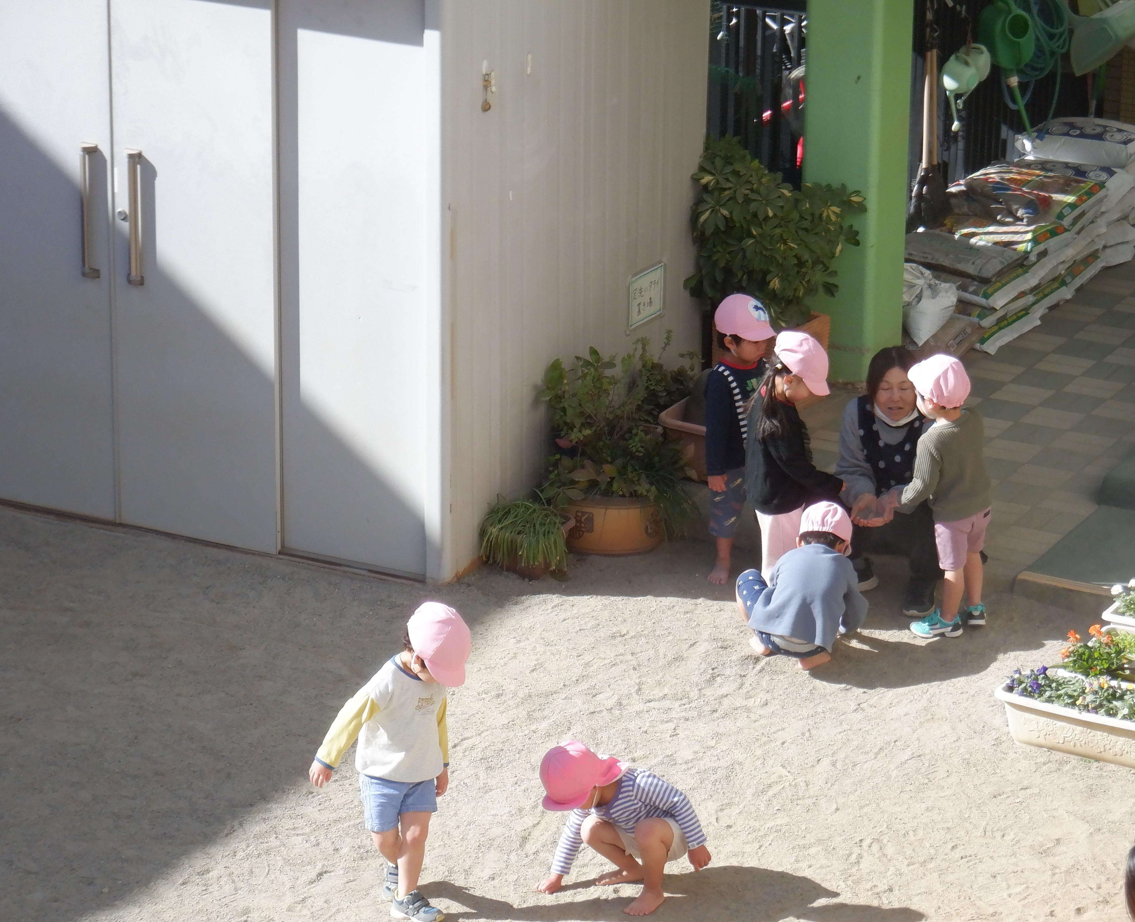 園庭はぽかぽか陽気