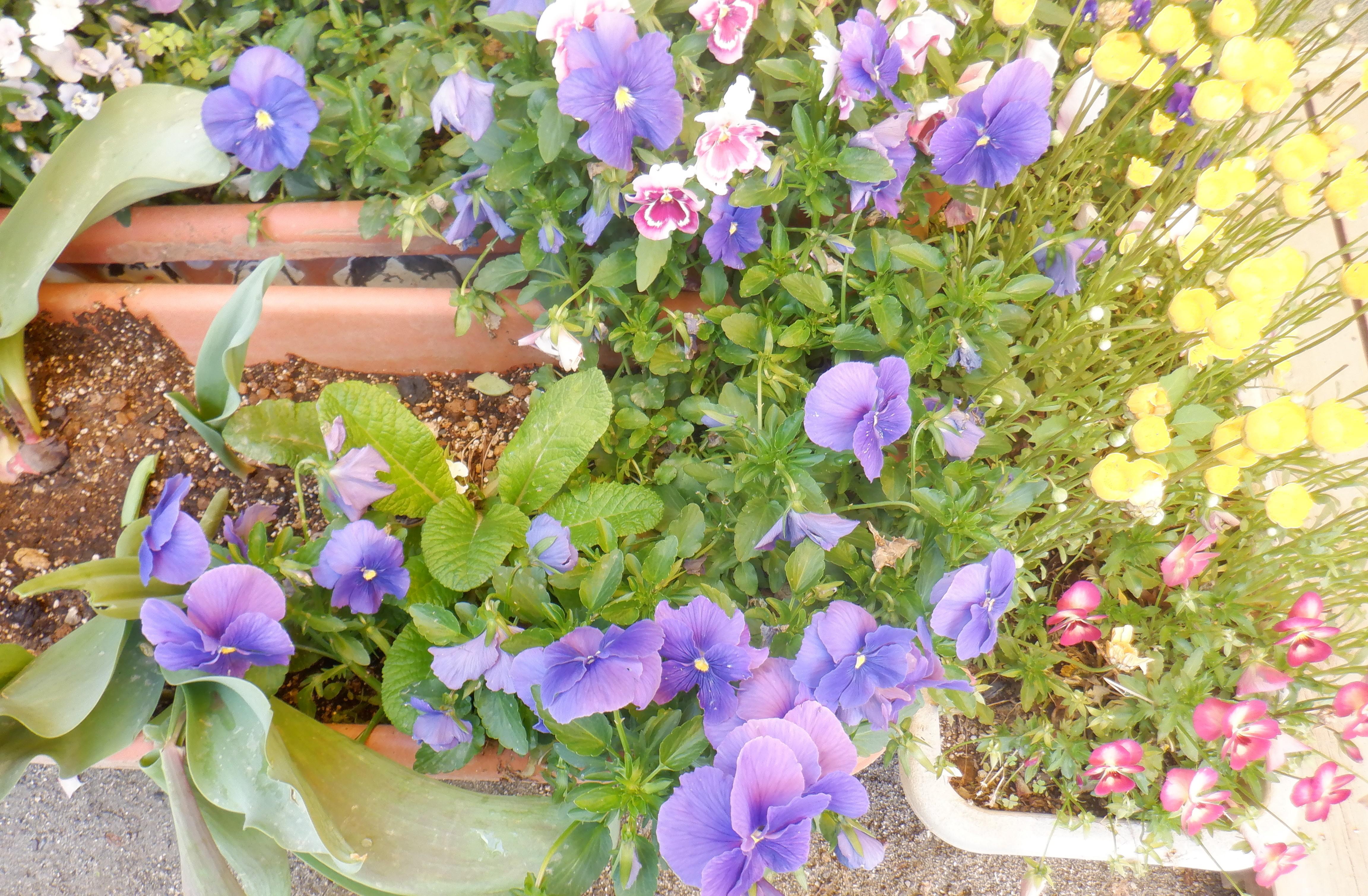 １月～3月の苦情・意見