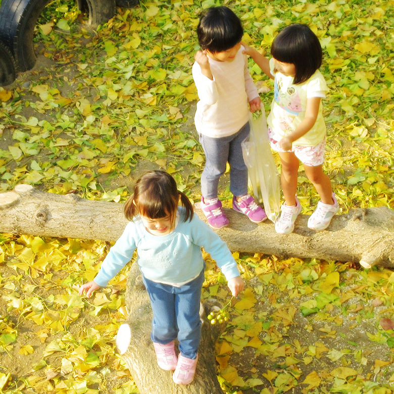 写真：丸太 (たんぽぽ保育園)