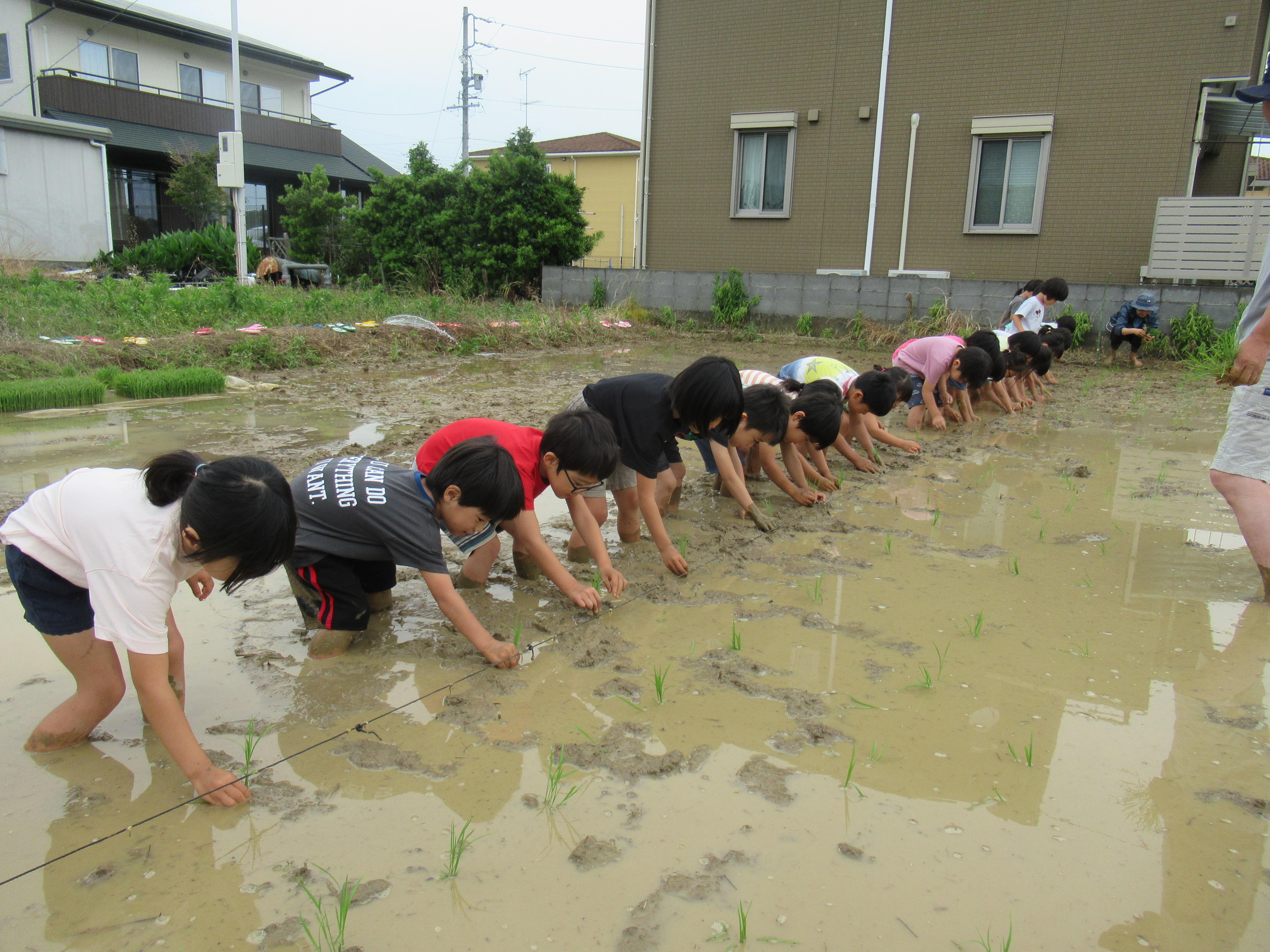 苦情・要望報告（4月～6月）