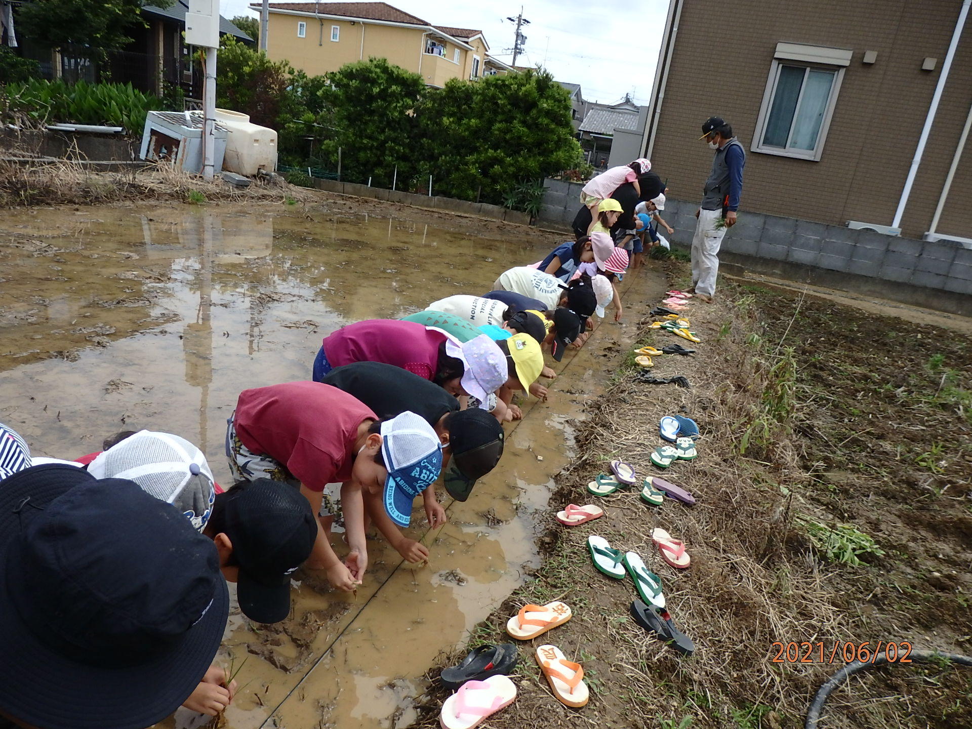 田植え２.JPG